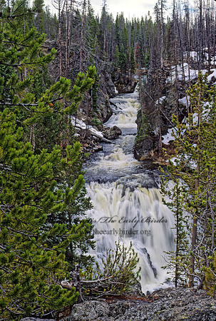 YELLOWSTONE FALLS 133613z