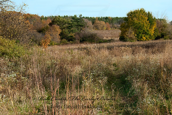Edgerton area  SCENE 7017974z