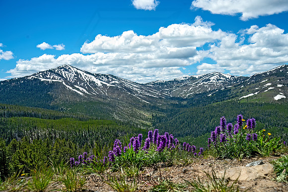 MOUNTAIN SCENE 9061260-5 HDRz