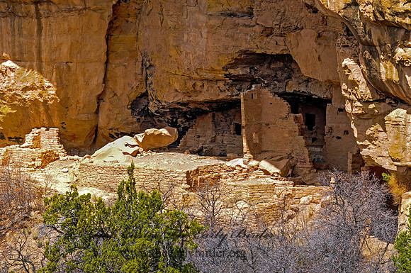 CLIFF DWELLINGS 3016460z