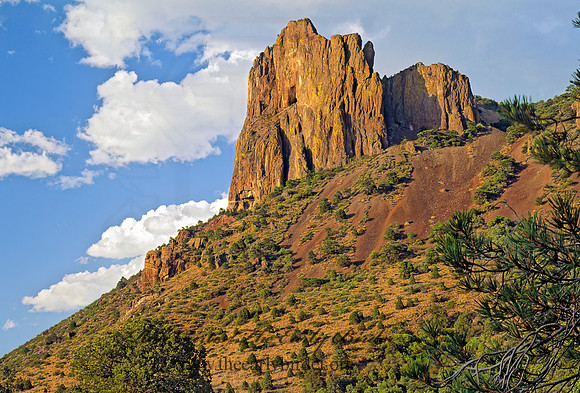Chisos Mts  ROCK FORMATION 92133z