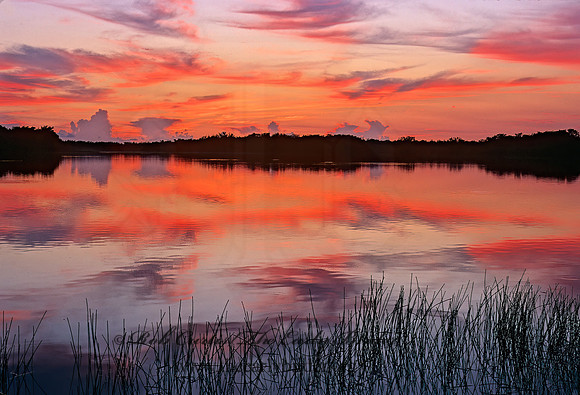 9 Mile Pond sunrise 252523 Everglades NPz