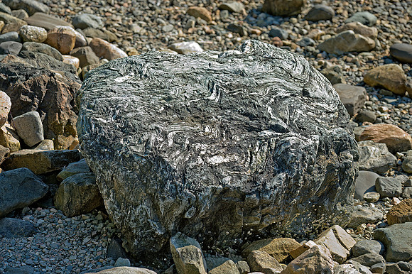 Acadia NP  WAVY ROCK 9032827z
