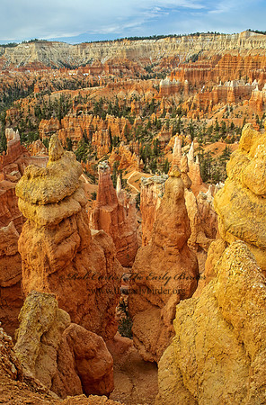 Bryce Canyon NP  SUNRISE POINT TRAIL 105318z