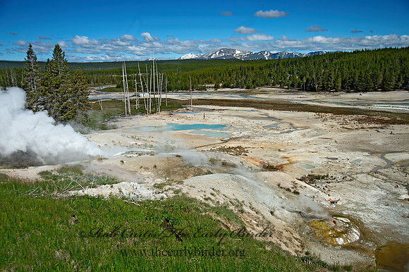 THERMAL SPRING   9061183z