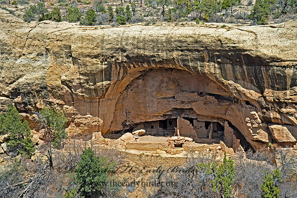 Oak Tree House  CLIFF DWELLINGS 9054855z