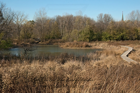 North Park Village NC  MARSH 5017117z