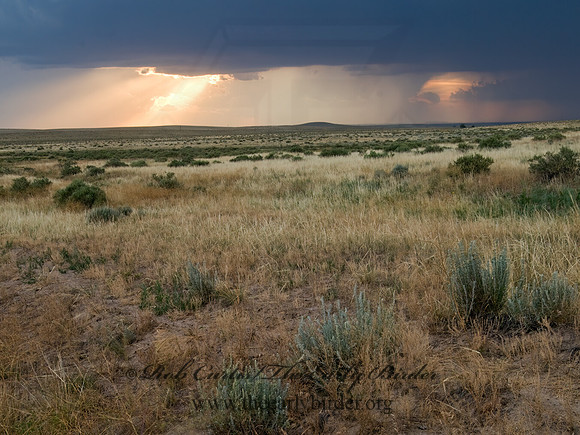 Pawnee NG 7011566 Pawnee National Grasslandsz