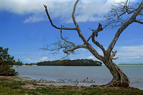 Flamingo Bay 252034z