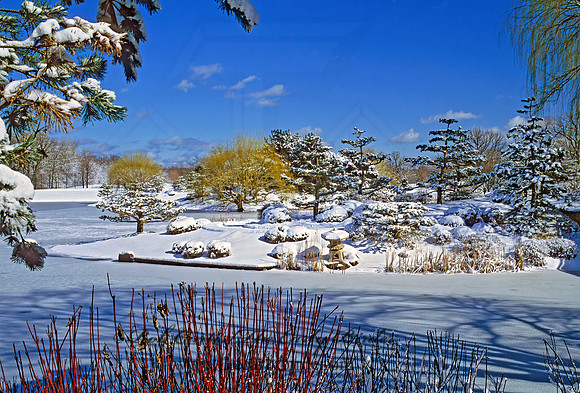 Chicago Botanic Gardens 287617z