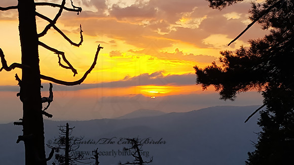 FORESTED MOUNTAIN SUNSET 2000840z