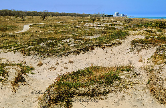 SAND DUNES 1271025z