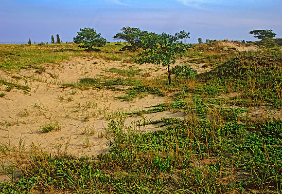 DUNES SCENE 282923z