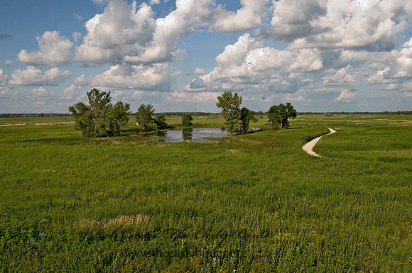 Goose Lake Prairie SP 8015955z