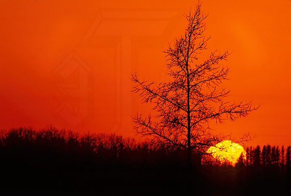 Sax Zim Bog  SUNRISE 141937z