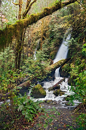 WATERFALL 8019358z