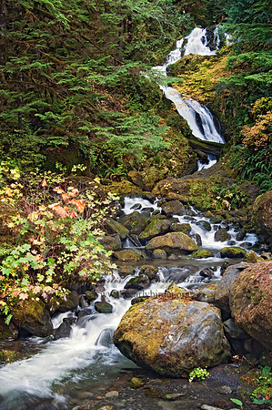 WATERFALL 8019384z