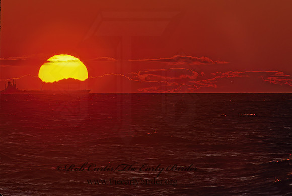 Cape May  SUNRISE 183901z
