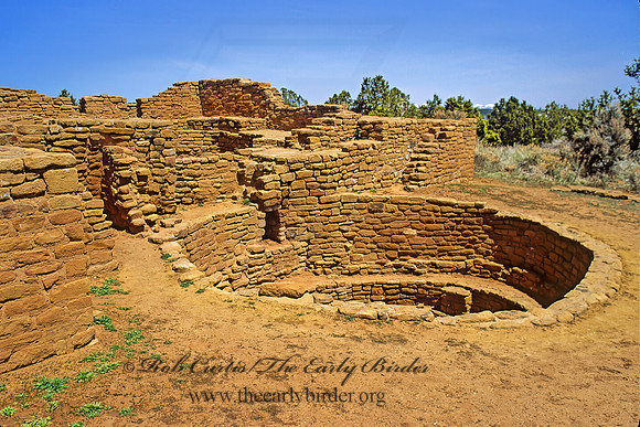 FAIRVIEW RUINS 103715z