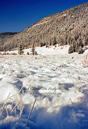 Beaver Creek Camp 101234z