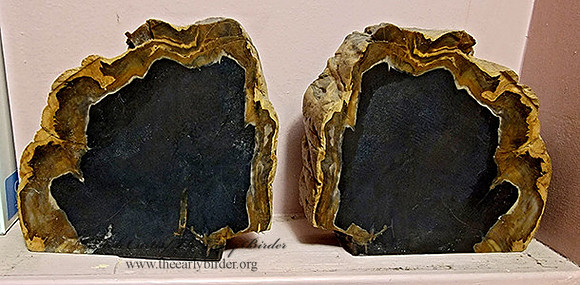 bookends  PETRIFIED WOOD 2001797