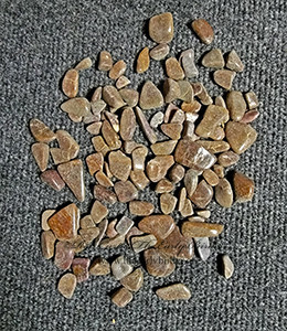 Fossil Bone  TUMBLED 2001913