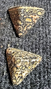 Leopard Skin Agate  PYRAMIDS 2001955