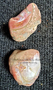 Opal  TUMBLED 2001956