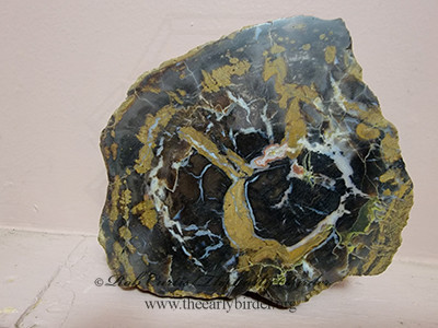 polished cut  PETRIFIED WOOD2001802