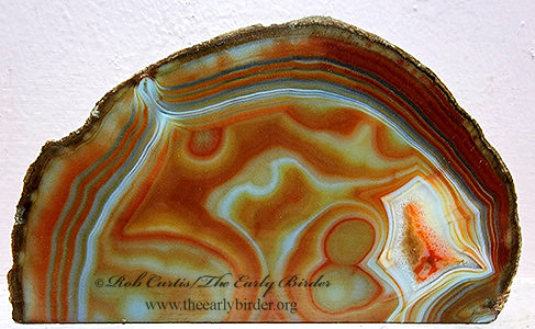 polished slab  BRAZILIAN AGATE 2001799
