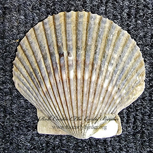 2001965
