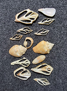 Cut Shells  TUMBLED 2001929