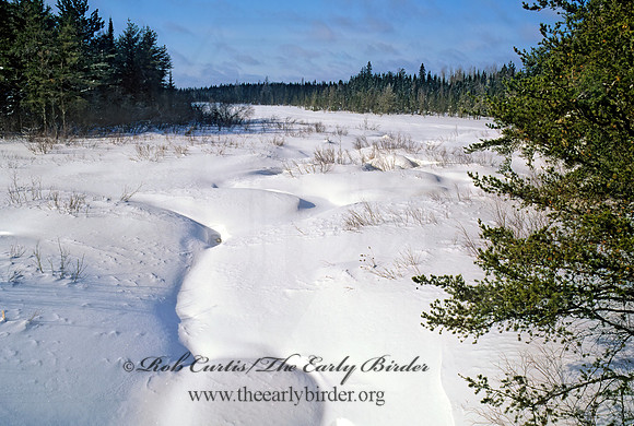 SNOWY FIELD 142331z