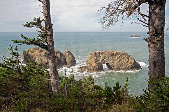 OCEAN VIEW 8019804z