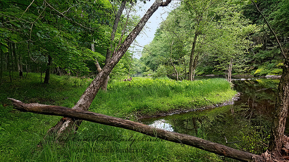 Ottsville  CREEK 2000011z
