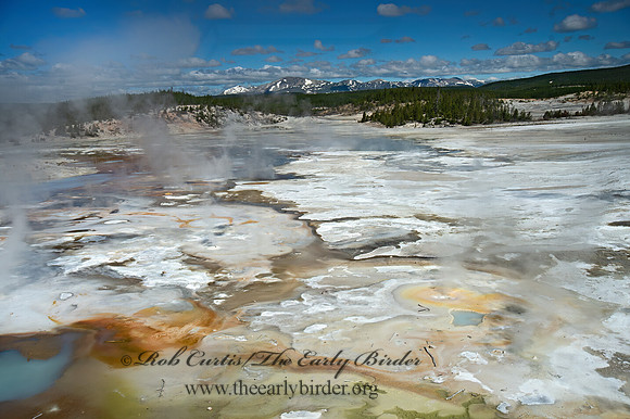 NORRIS GEYSER BASIN 9061245z
