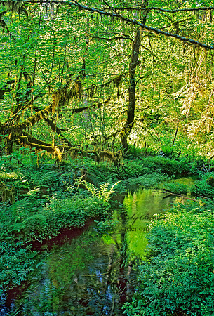 POND 132605z