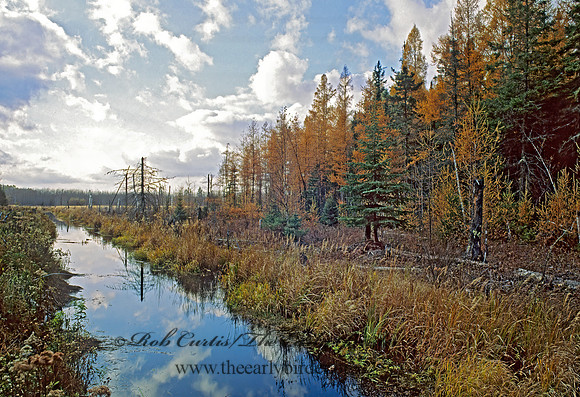 DRAINAGE DITCH 98503z