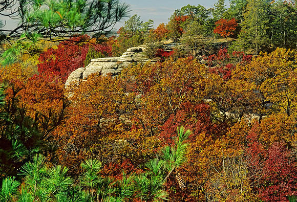 FALL COLORS  139226z