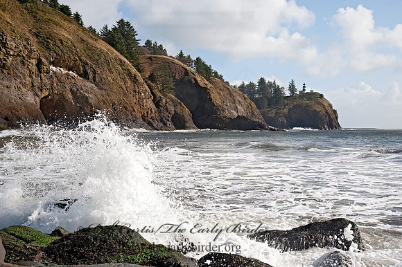 CAPE DISAPPOINTMENT LIGHTHOUSE 8019500z