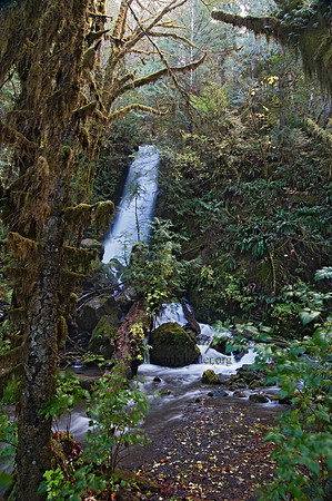 WATERFALL 8019353z