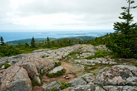 Acadia NP 9032448z