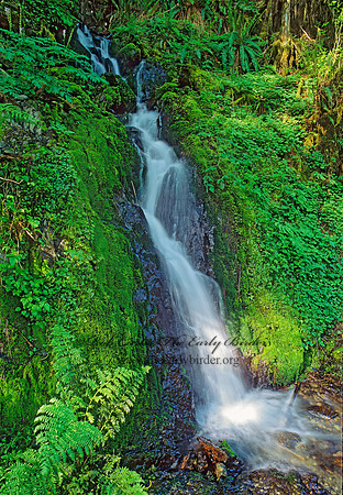 WATERFALL 132706z