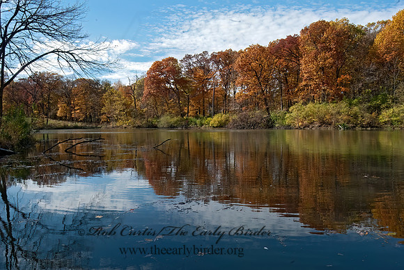 Morton Arboretum 6017697z