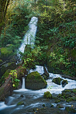 WATERFALL 8019354z