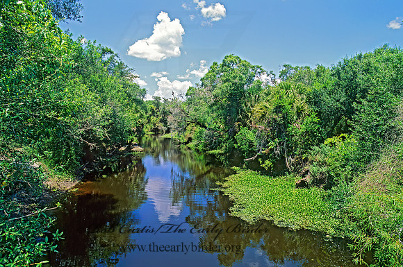 Myakka River SP 261429z