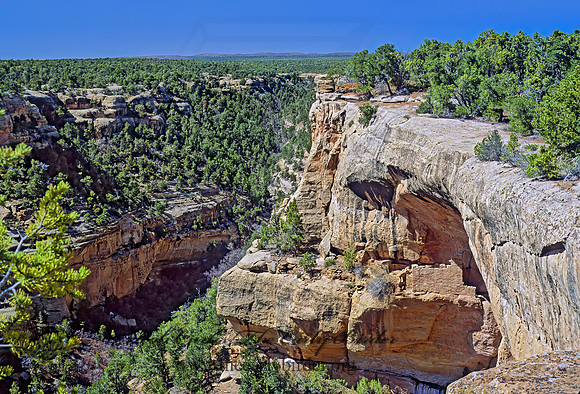 CLIFF DWELLINGS 104124z
