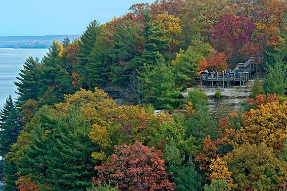 FALL FOREST SCENE 5016967z