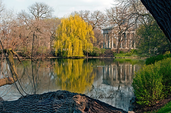 Graceland Cemetery 3001834z