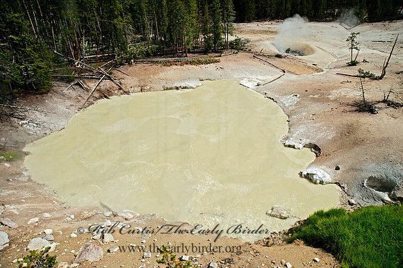 THERMAL SPRING   9061060z